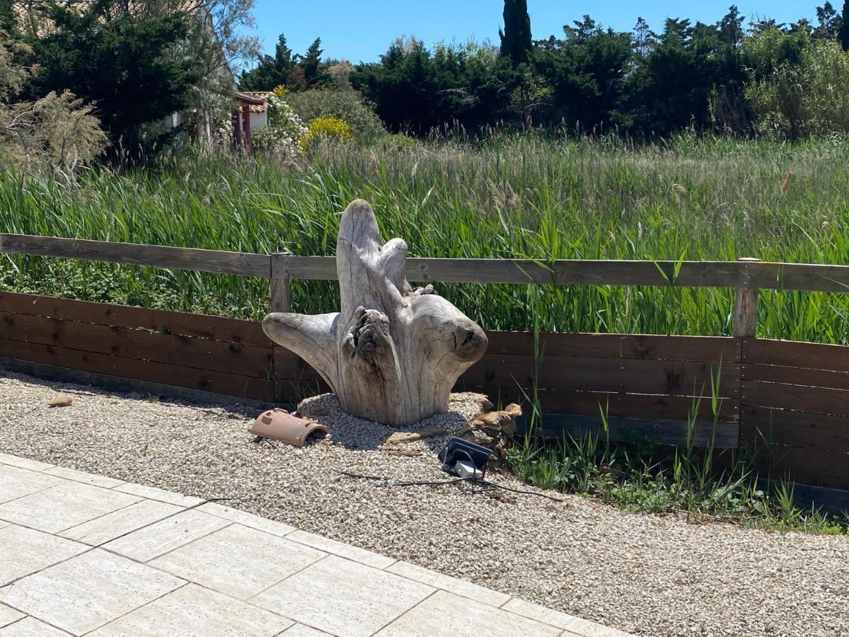 Le Mas De Cocagne Saintes-Maries-de-la-Mer Exterior foto